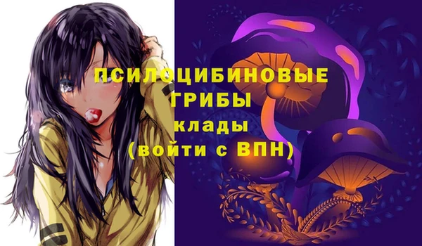 MDMA Лагань
