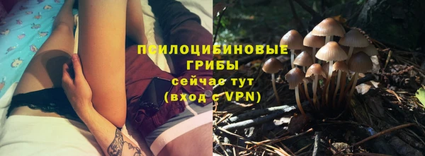 гидропоника Ладушкин