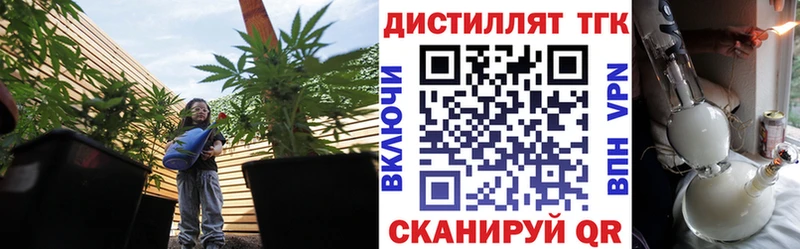 купить  цена  ОМГ ОМГ онион  Дистиллят ТГК вейп  Гусиноозёрск 